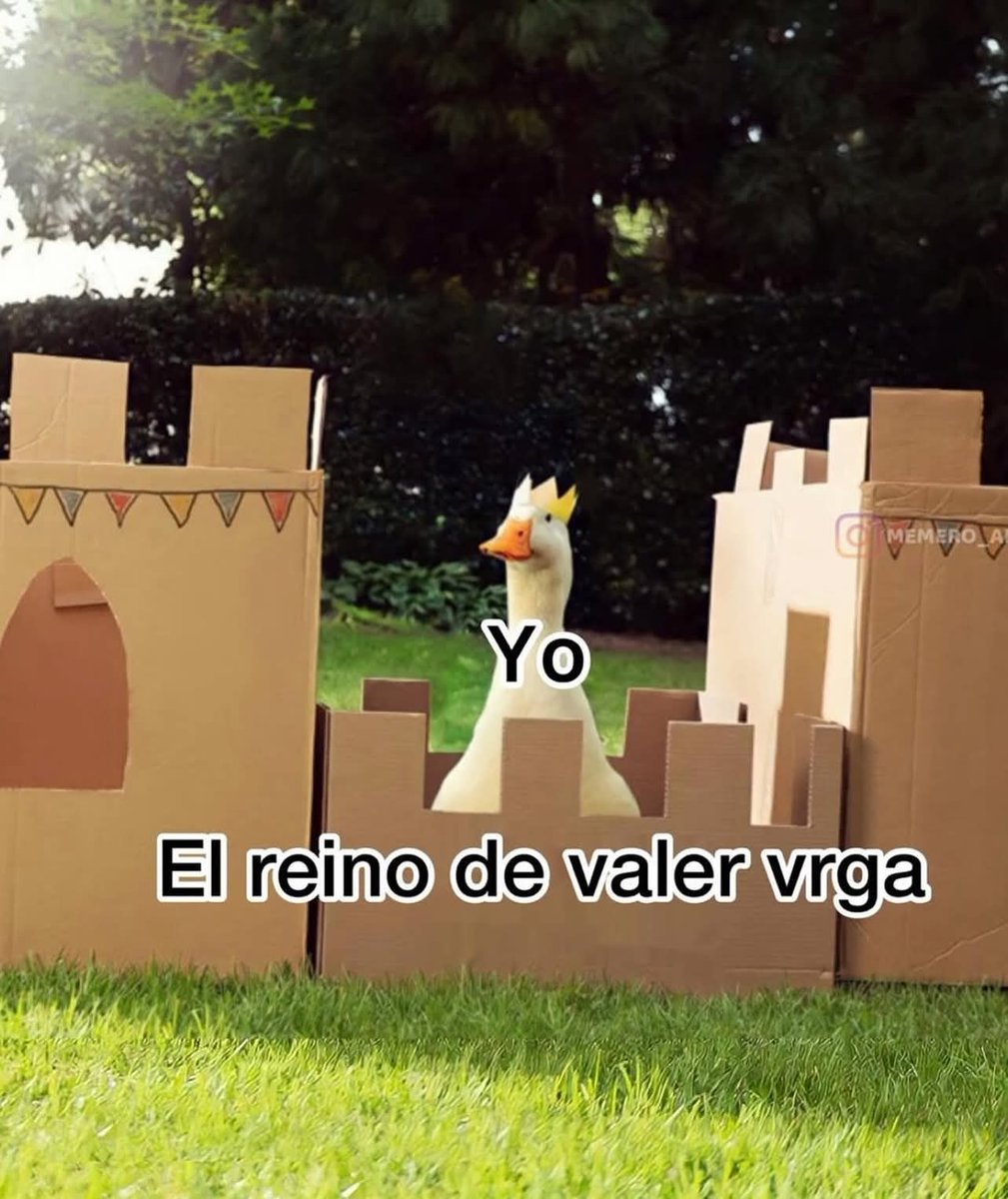 ANIMALITOS SANADORES tweet media