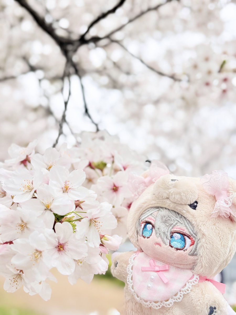 もちころのいずぬい🪽 tweet media