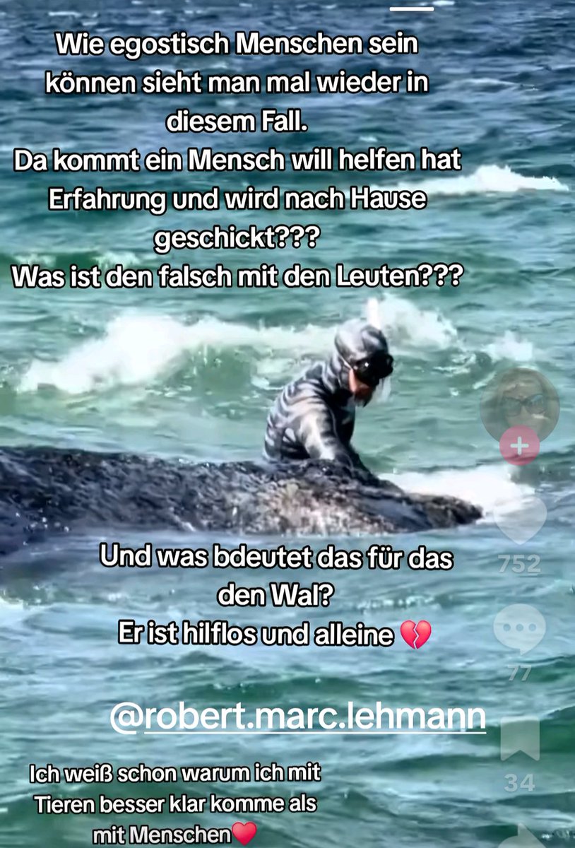 Steffi Pihlers tweet media