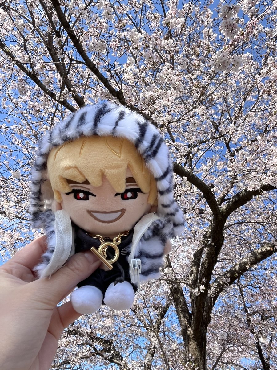 🍨𝓣𝓞𝓡𝓐🦓❤️🐒🐘 tweet media