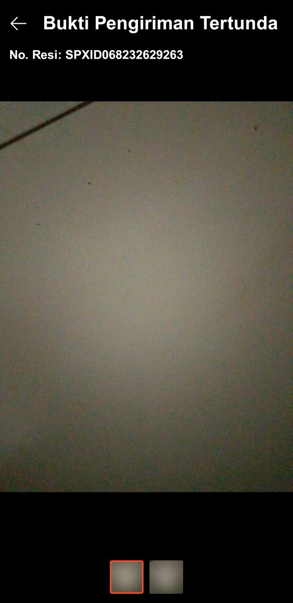 doobeedoo tweet media