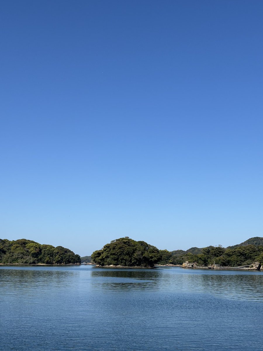 イイヌマ tweet media