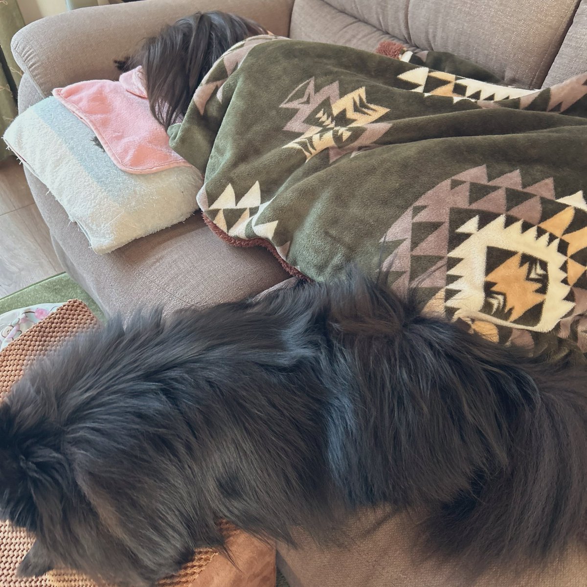 ぬまこ~【公式】キャンプ沼落ち~ tweet media