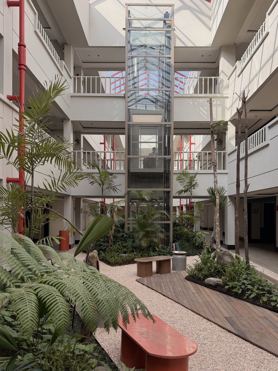 toothless tweet media