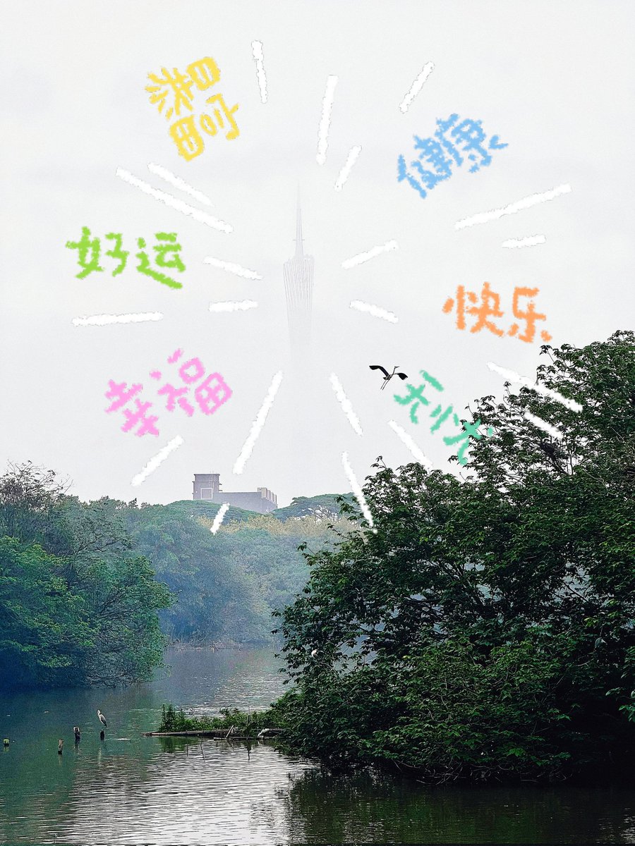 🇨🇳飞天小熊猫（修身养性版） tweet media