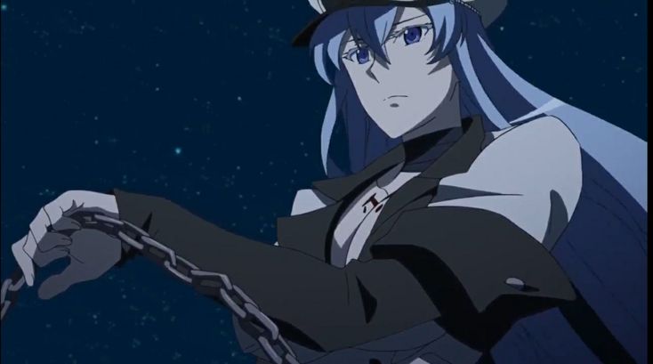 Esdeath | ｴｽﾃﾞｽ tweet media