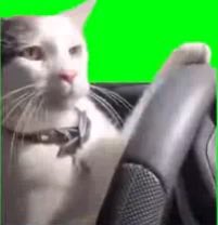 さすらいのキオクシアマン tweet media