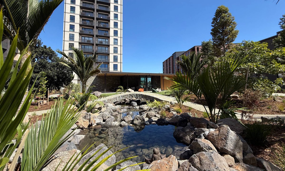 Auckland Urban Development News tweet media