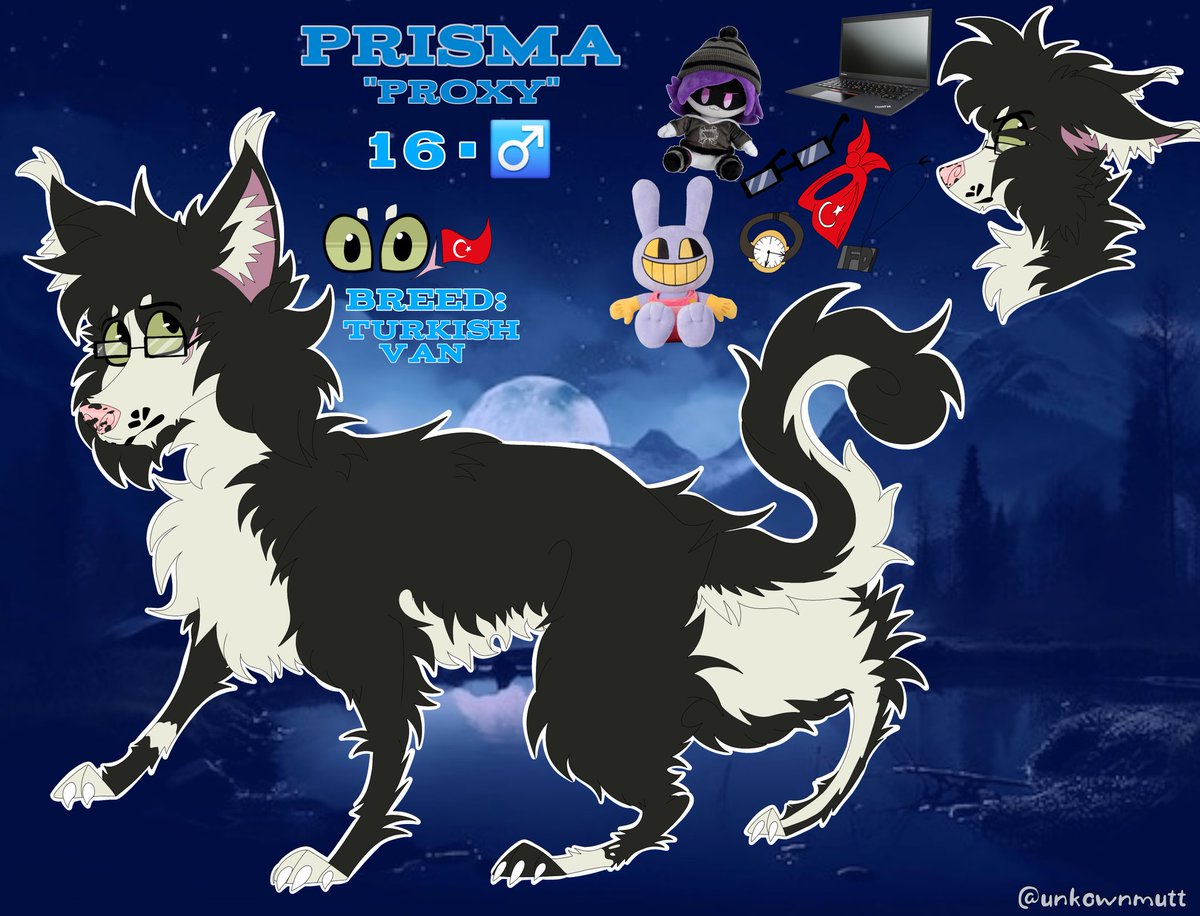 Zuni ★ !! 🎧 tweet media