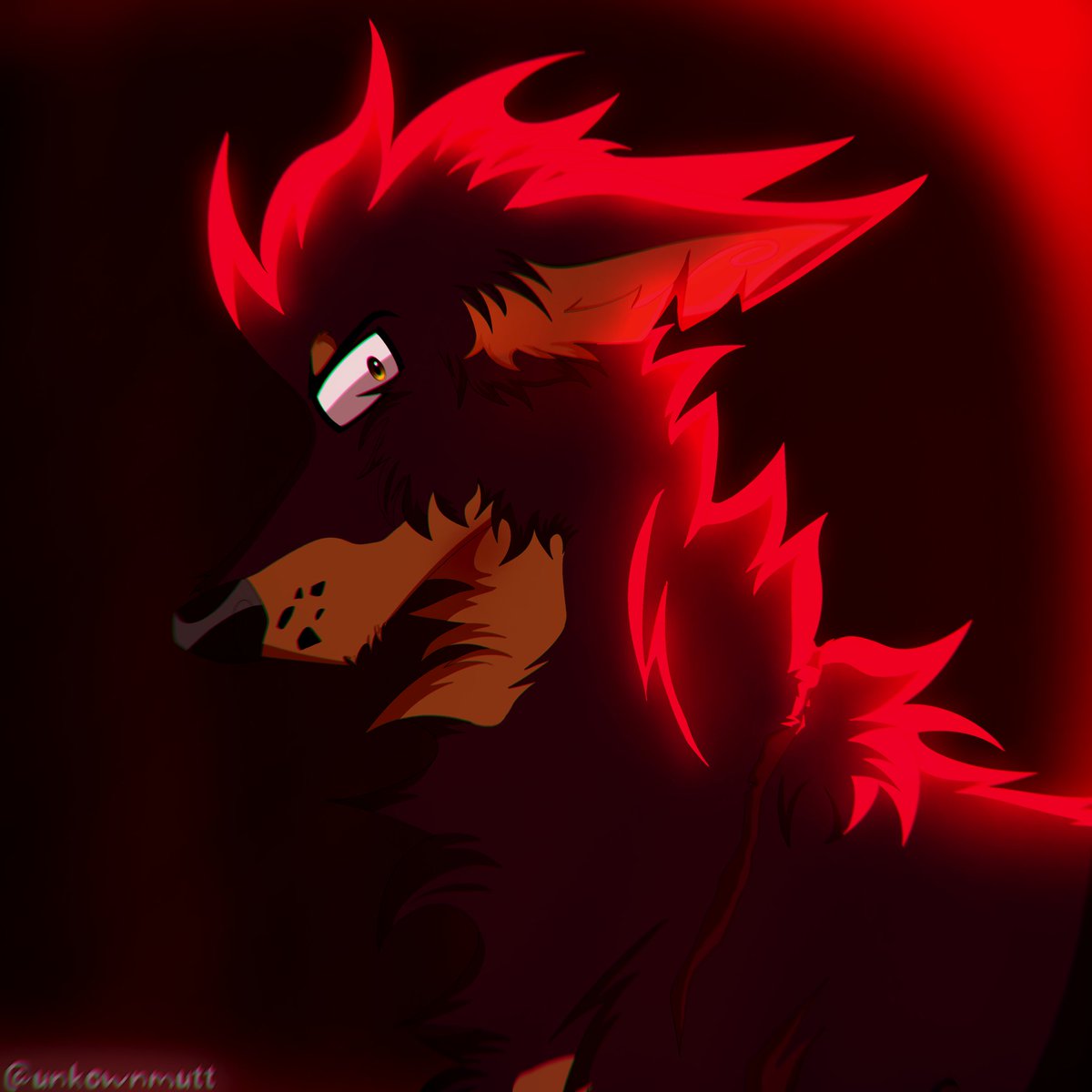 Zuni ★ !! 🎧 tweet media