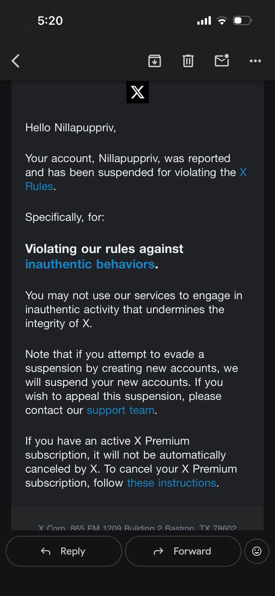 Nillapupp tweet media