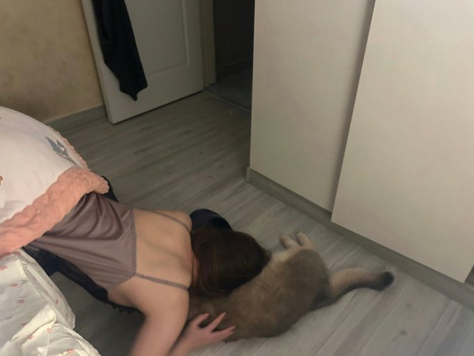 没有鱼 tweet media