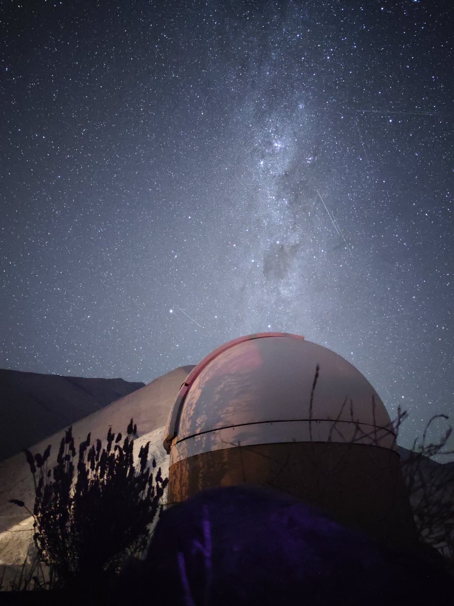 Seba Campos tweet media