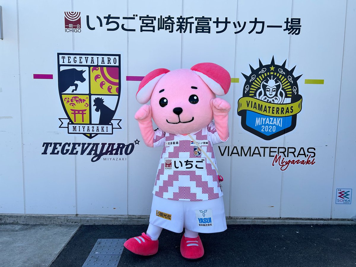 55tegevajaro's tweet photo. ／ 
 毎週水曜日は「KICK OFF！MIYAZAKI」の日⚽
＼ 
📺#UMKテレビ宮崎  

本日スタジオに #ジャーロくん がお邪魔します🐶🍣放送は【16:35】から！

次節はAWAYロアッソ熊本戦！🐴
そして、次のHOMEは4/25（土）鹿児島ユナイテッドFC戦🔥#クロスタで1万人 に向けて、お知らせをさせていただきます☺️

皆さま、ぜひご覧ください🐶🌴

＃テゲバジャーロ宮崎 #テゲバ #昇格は始まりだ