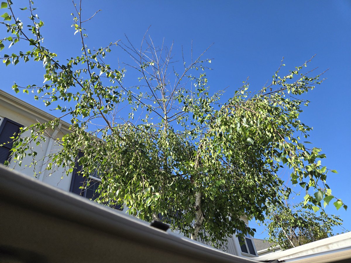 SusanLDorazio's tweet image. I took this picture after getting home from an interview for a freelance job. You can be prepared &amp;amp; still not get the job. And that's ok because in this instance the job scope is "still being developed". Enough said.
#freelancer #FreelanceWork #FreelanceLife #JobHuntingChronicles