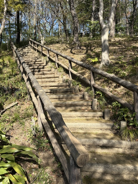 一本杉公園飼育係 tweet media