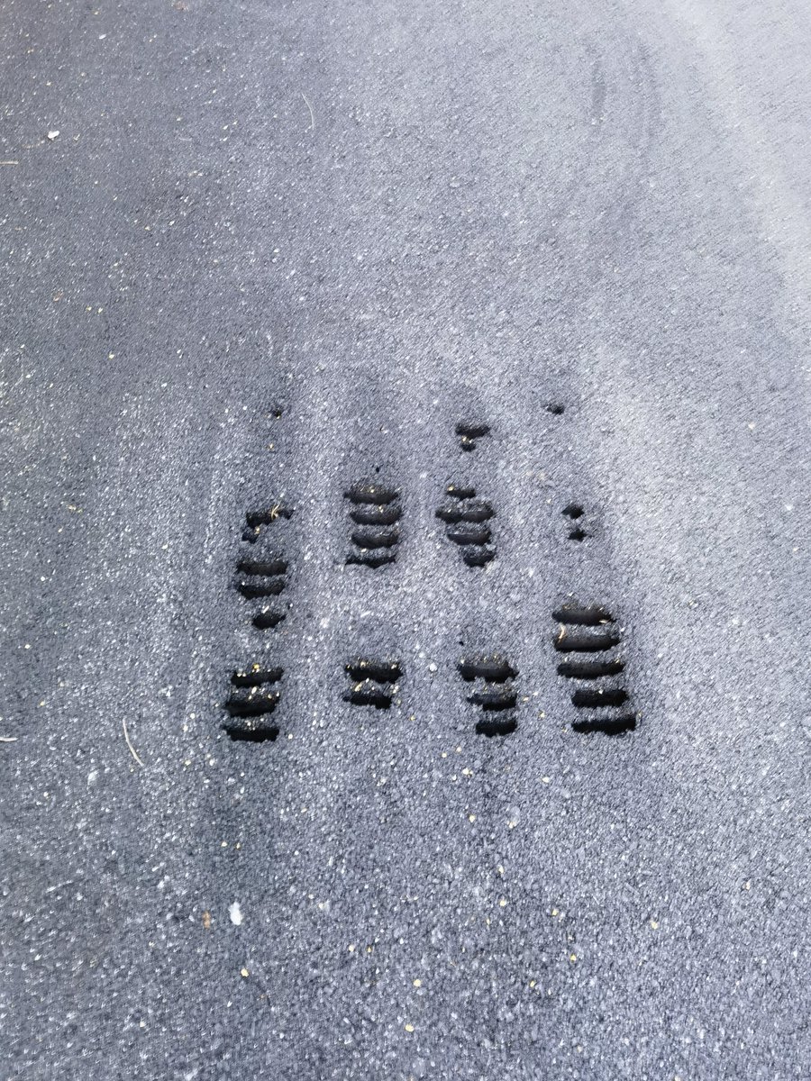 จัม ชื่อฉันไว้ tweet media