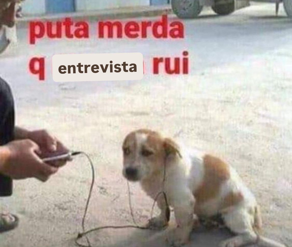 José Louis tweet media