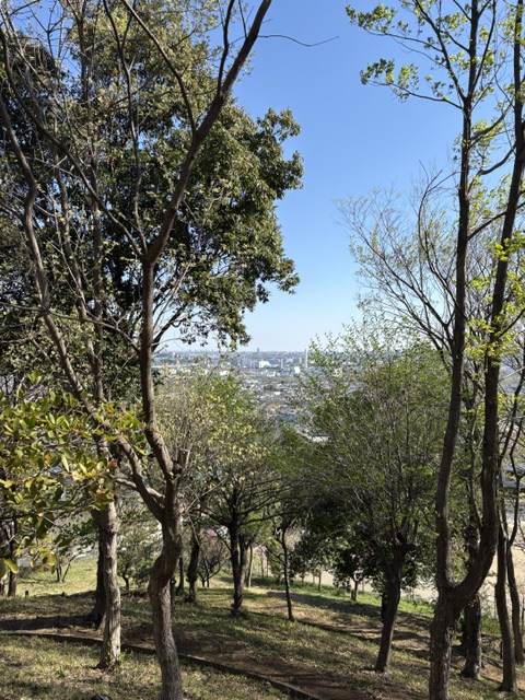 一本杉公園飼育係 tweet media