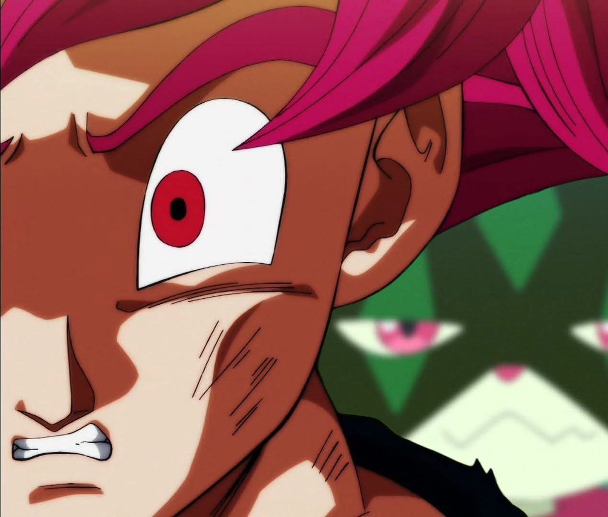 Gato mota✨️🍃 tweet media