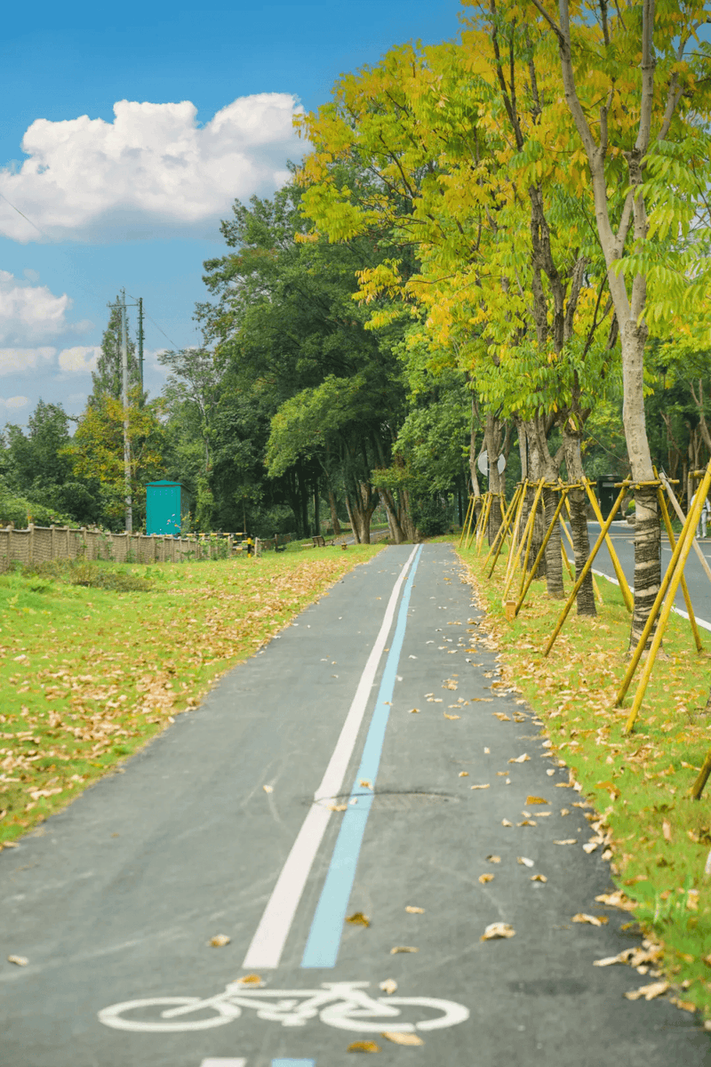 janinefortinec tweet media