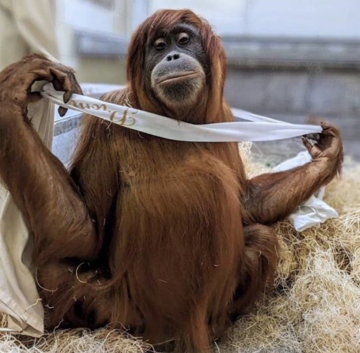 marí 💋 tweet media