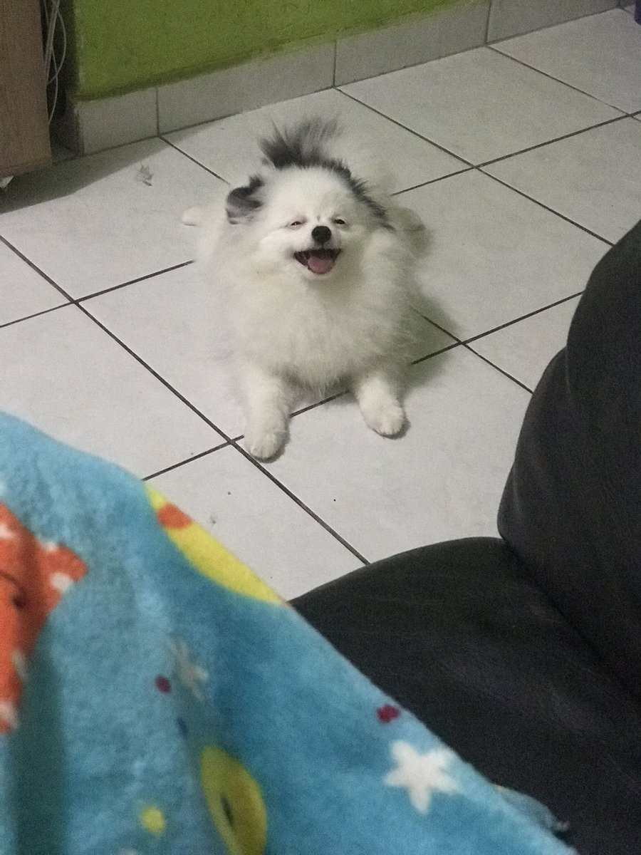 daoraeinfera's tweet photo. hoje eu acordei morrendo de saudade de você. to olhando suas fotos e vendo o quão parecido o loki ta contigo. obrigada por deixar um pedacinho seu conosco. te amarei eternamente https://t.co/tAAAhvqvas
