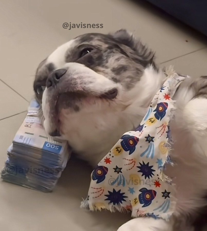 Que necesitas para dormir tranquilo?  

Yo: