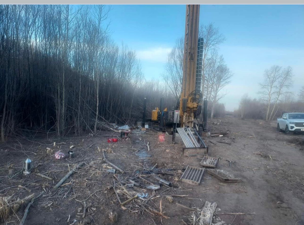 Хариад tweet media