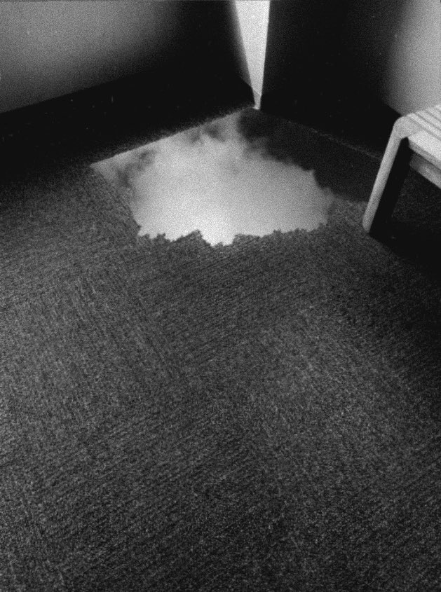 𝖳 𝖧 𝖤 𝖥 𝖫 𝖸 𝖨 𝖭 𝖦 𝖡 𝖤 𝖣 tweet media