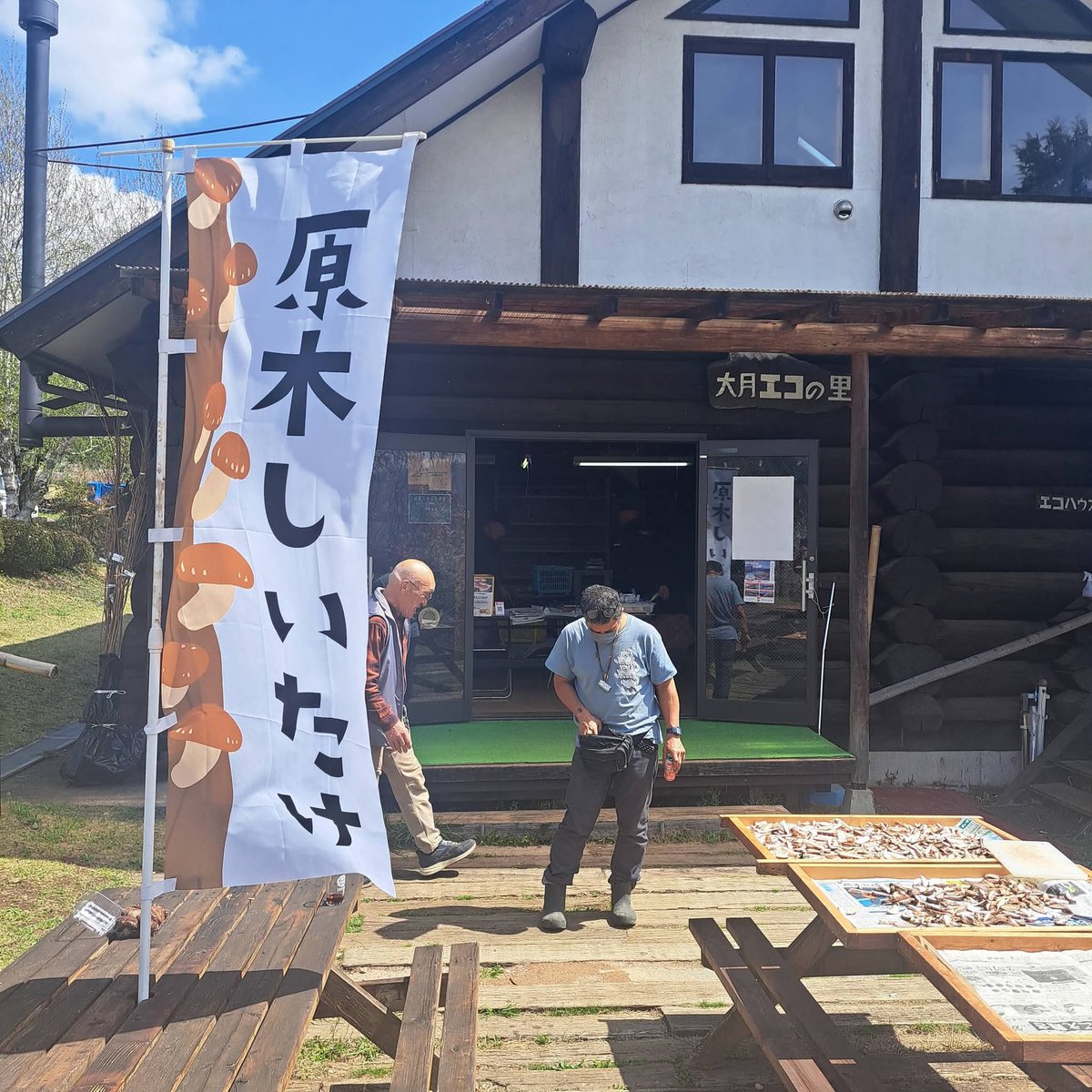econosato's tweet photo. たくさん採れています！【エコの里の原木しいたけ】
大月駅前の観光案内所などでも販売しているほか、園内のカフェで焼きしいたけを提供する日もありますので、ぜひSNSなどをチェックしていただけたら幸いです。
https://t.co/vcefijpEiV https://t.co/WK3IBM51Zs
