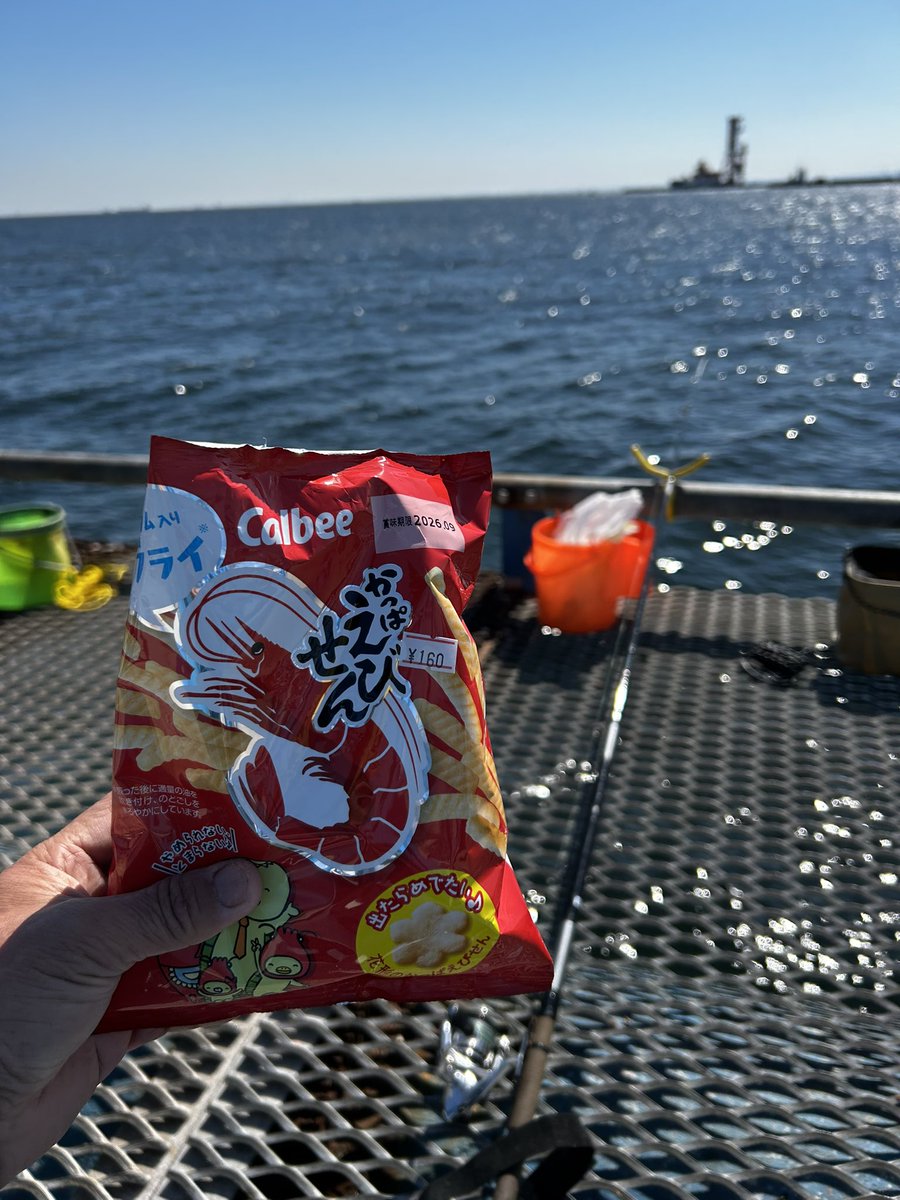 みや（一瞬マグロ漁師） tweet media