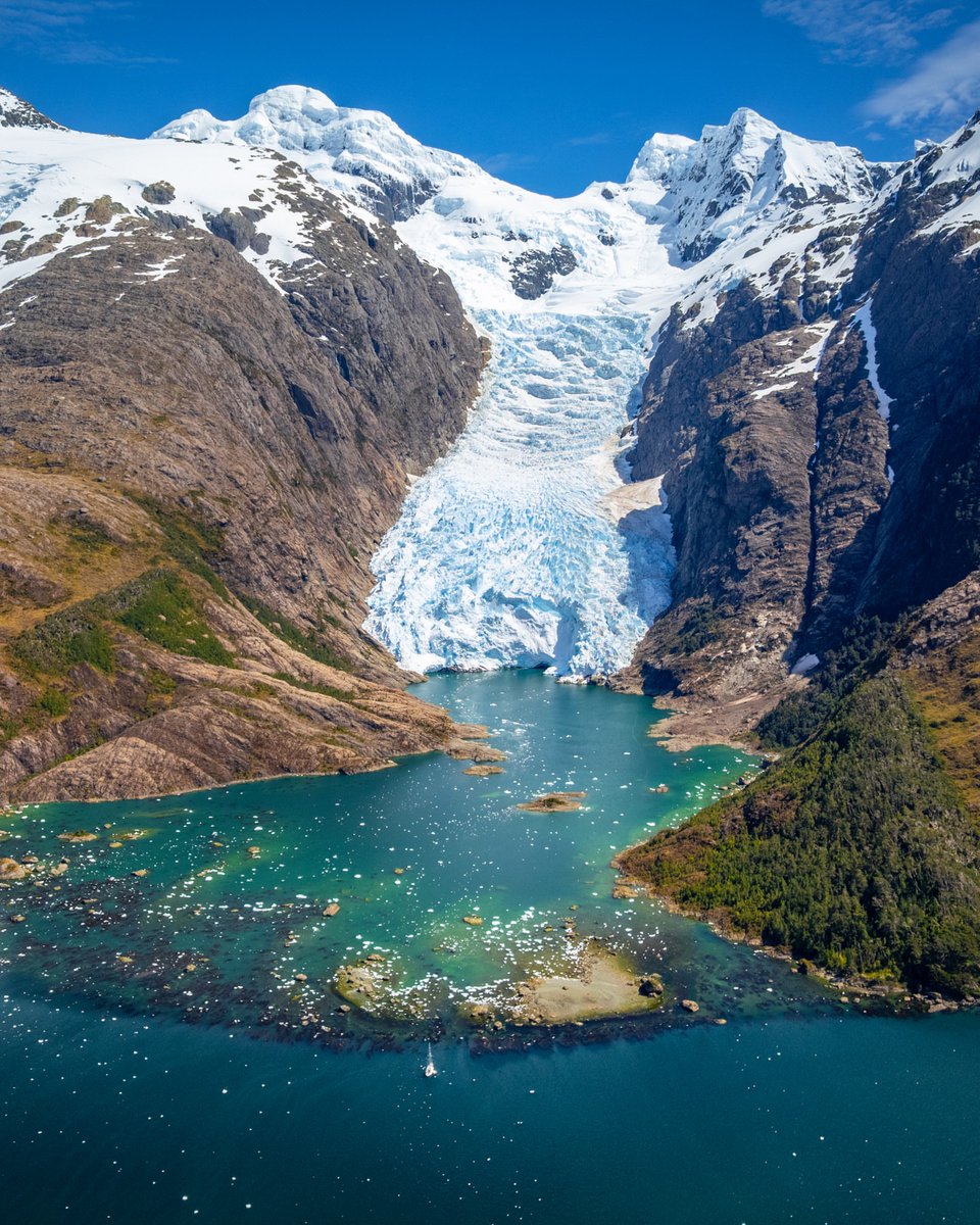 The World tweet media