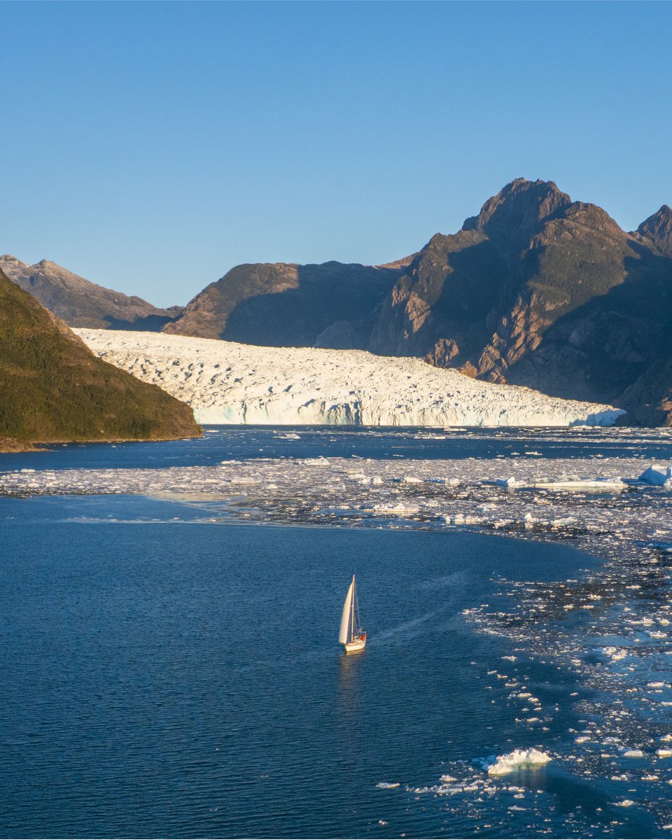 The World tweet media