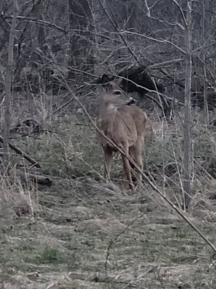 Jeremy / Edtwt tweet media