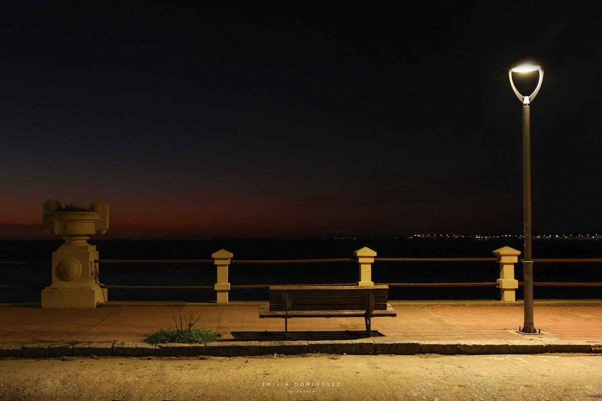 Emilia Domínguez tweet media