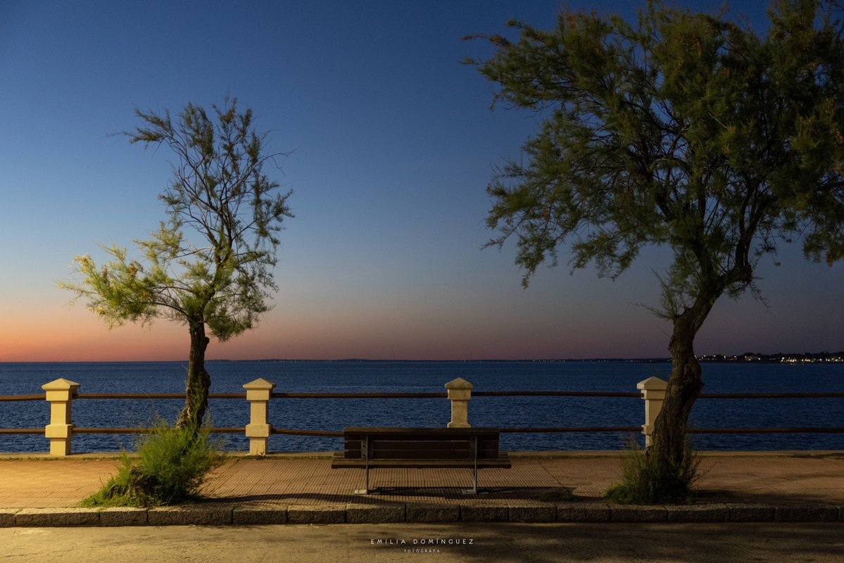 Emilia Domínguez tweet media