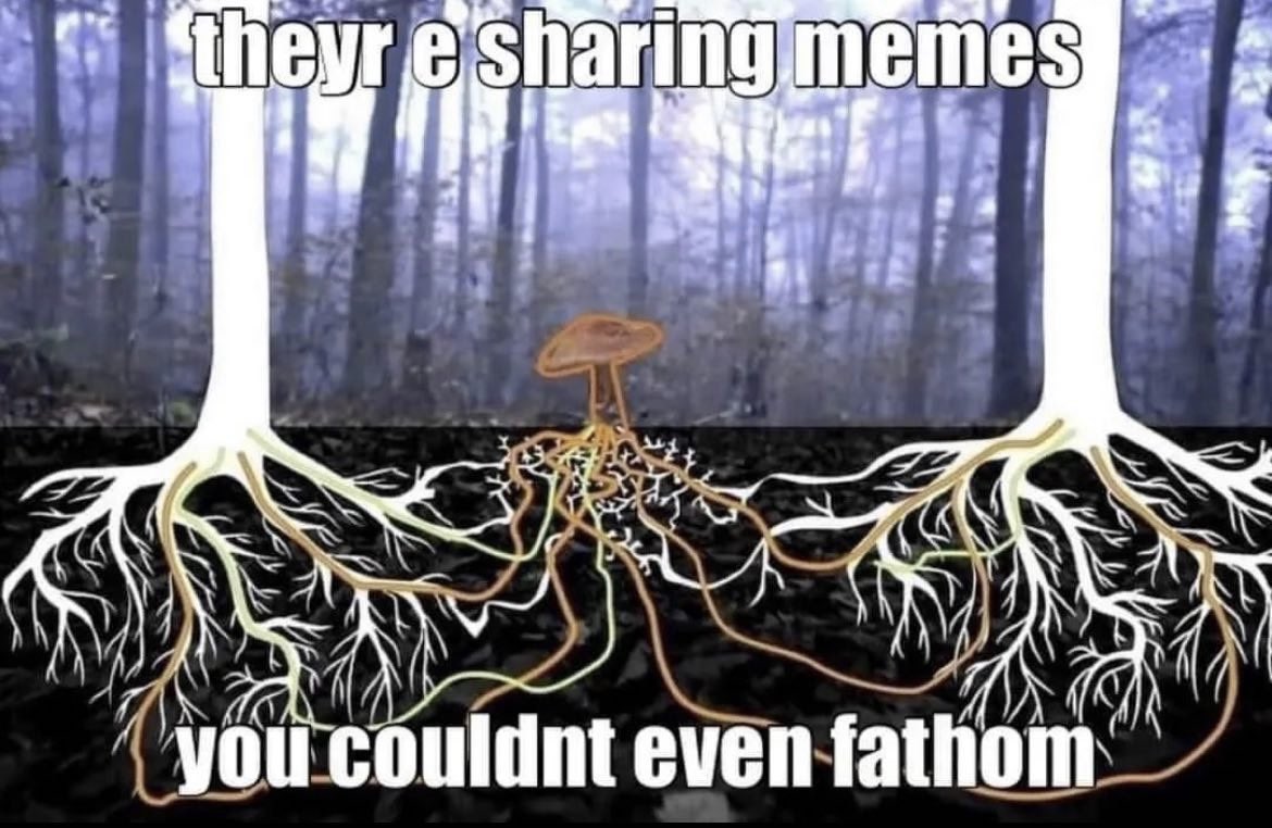 Alien Perspective tweet media