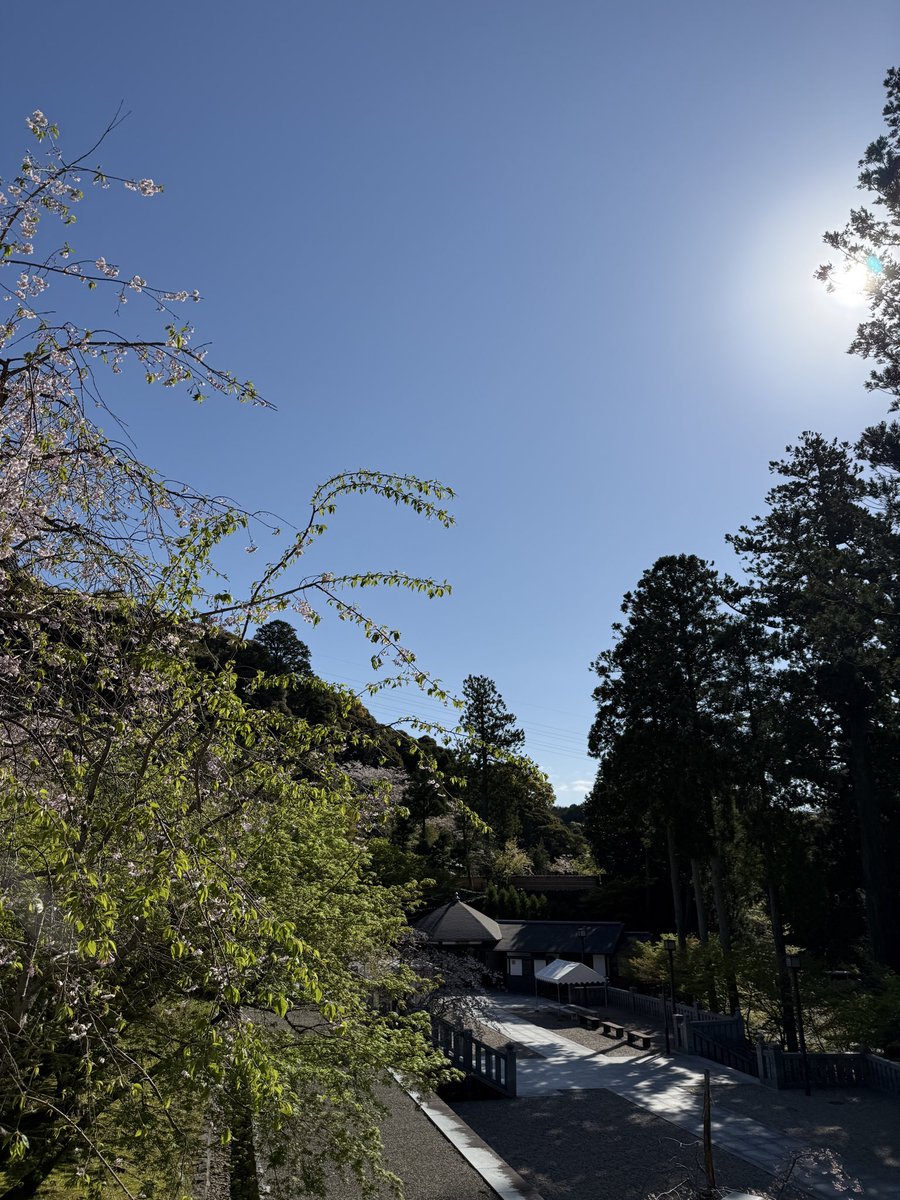 法多山 tweet media