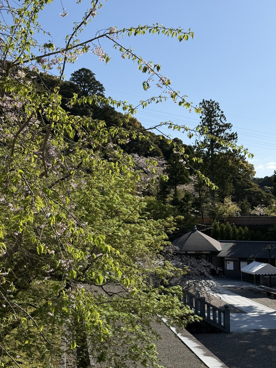 法多山 tweet media