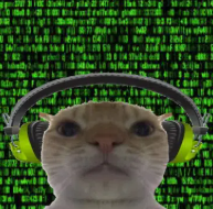 isendcoinshigh's tweet photo. Since we're going to be a bull run

 i think its time something appropriate runs the market 

introducing the cat with tek

meet $cat https://t.co/17ePRYJ9Zy