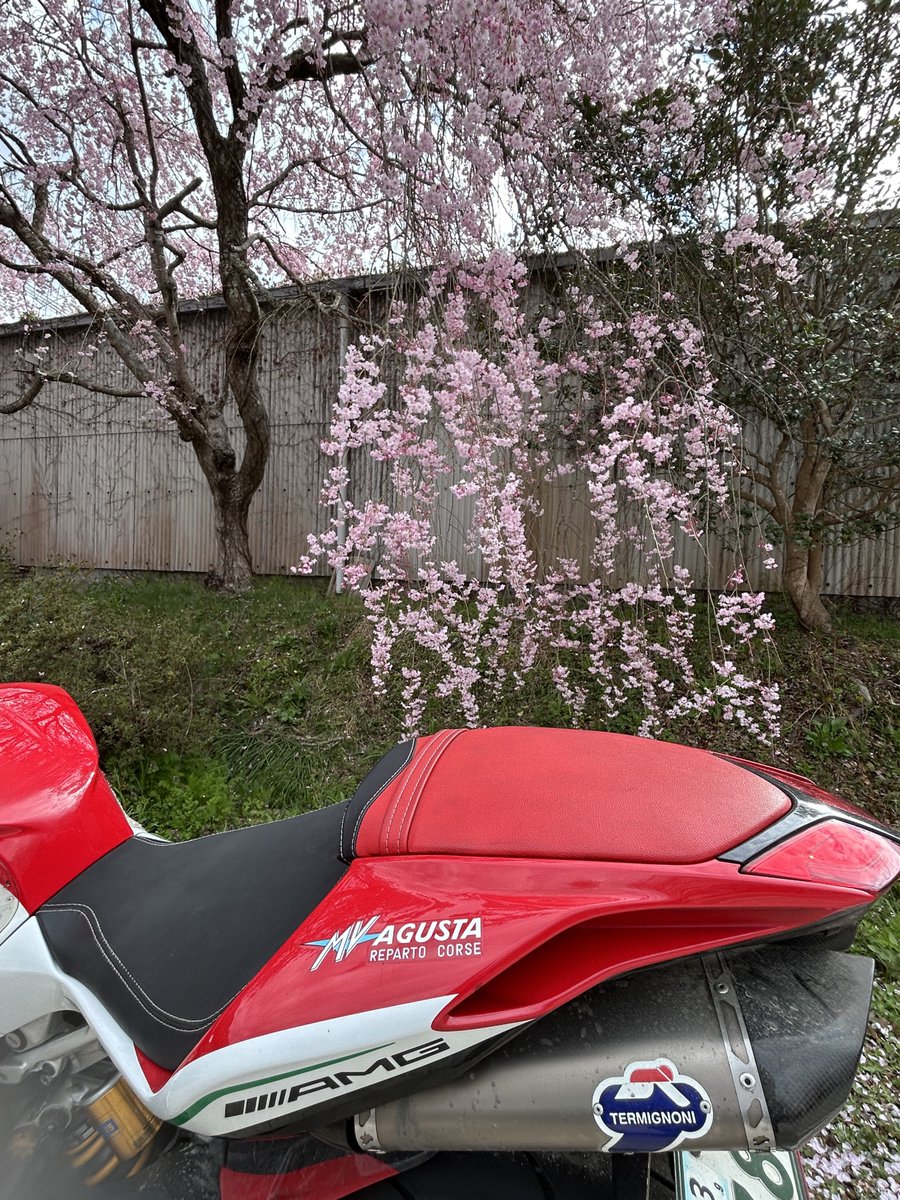 SnowBike's tweet photo. 久しぶりに晴れの朝活｡ https://t.co/41wmv1CXSO