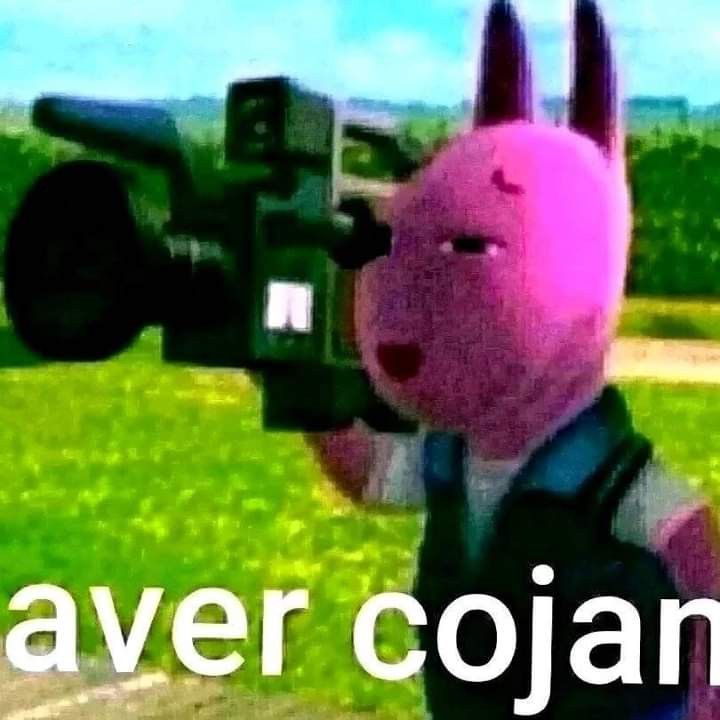 astro d temu tweet media