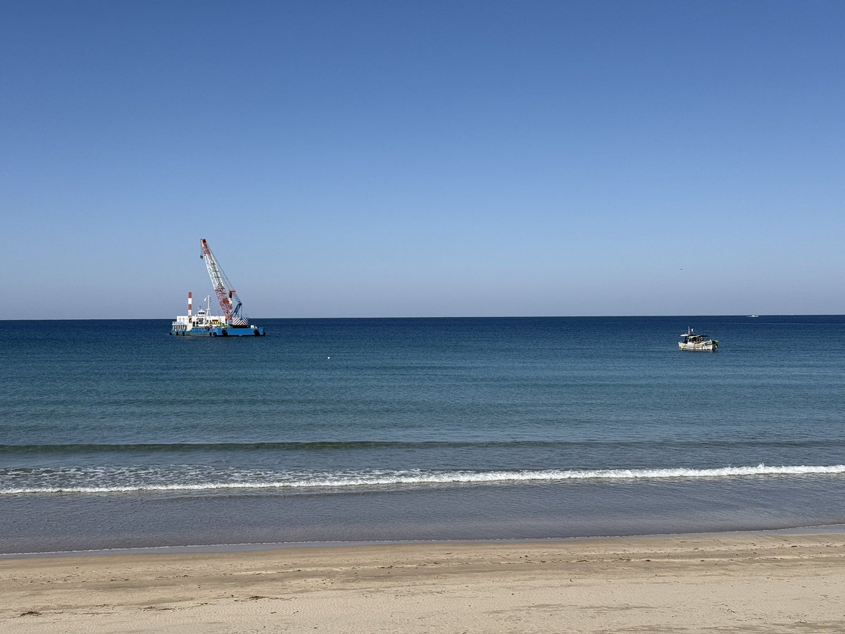 ぽんぽこ tweet media