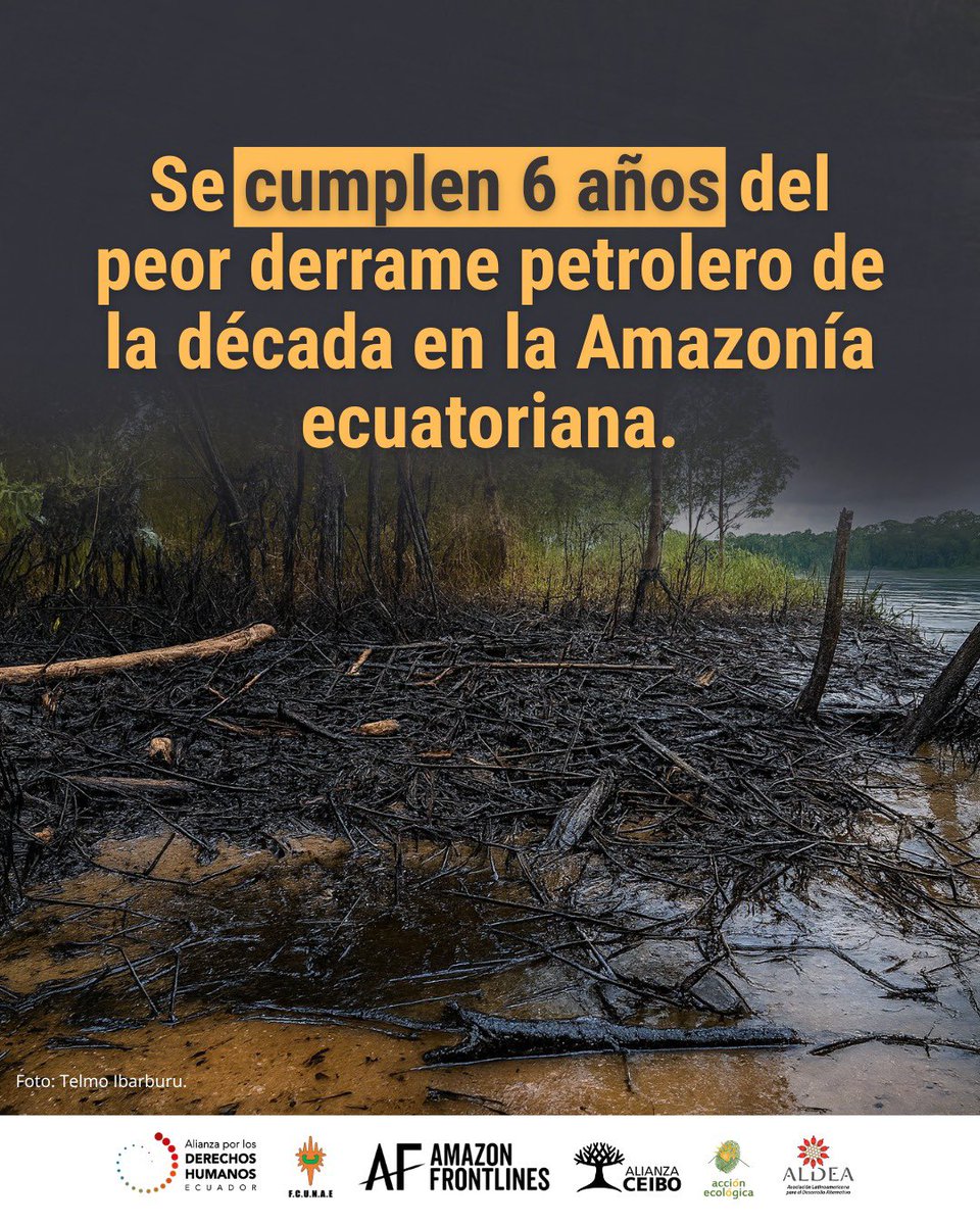 Alianza de Organizaciones por los Derechos Humanos tweet media