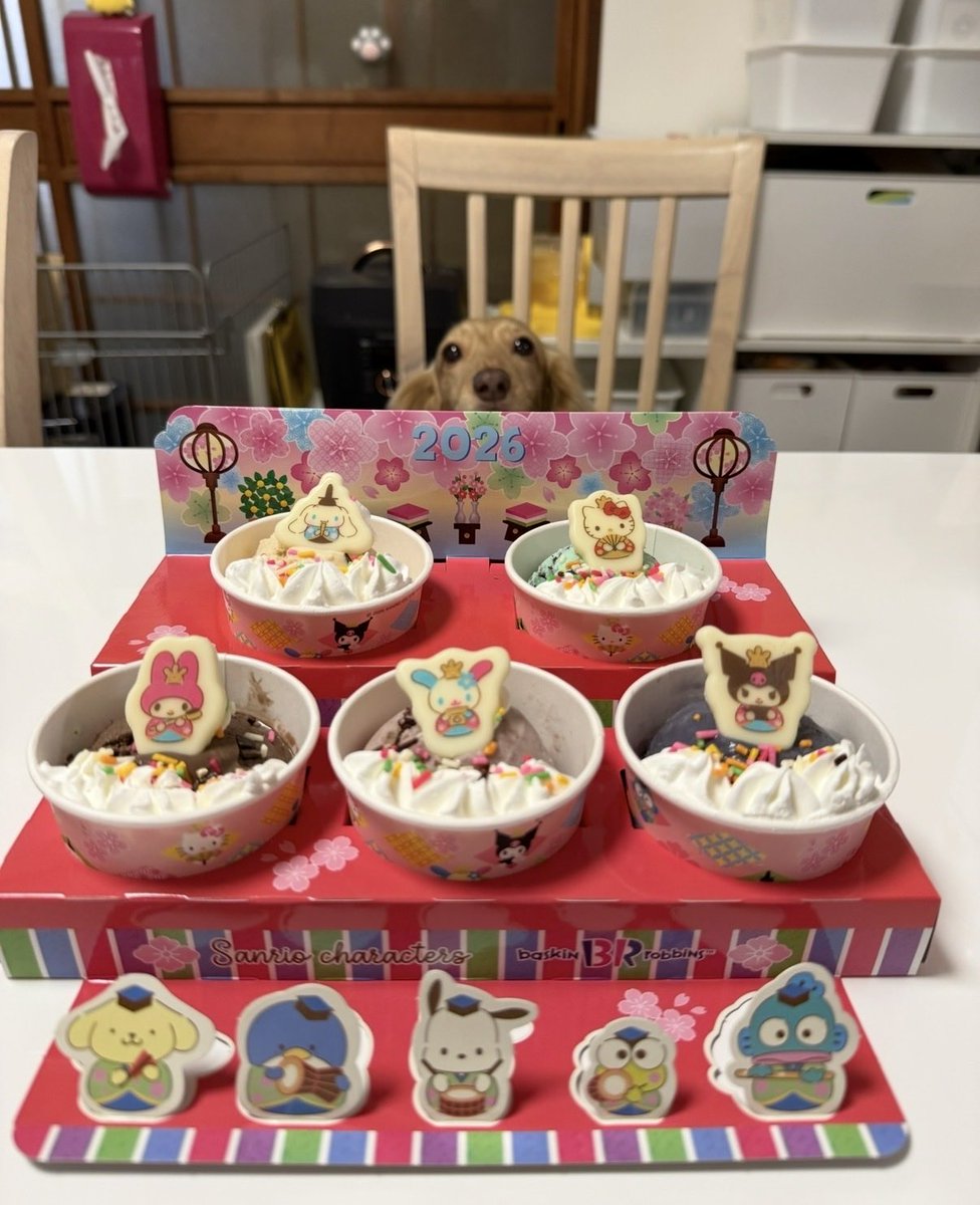 ほんわか姉妹(主) tweet media