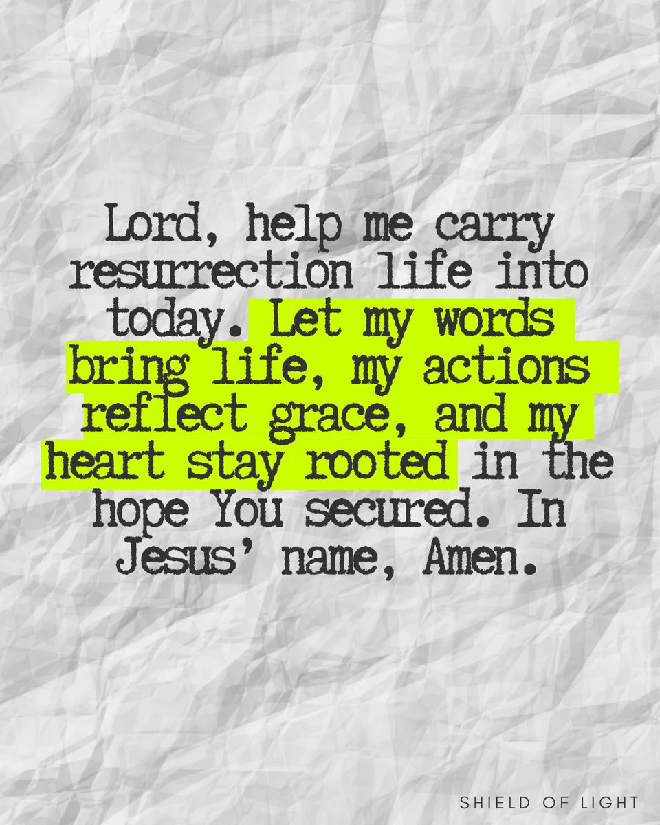 The Shield of Light tweet media