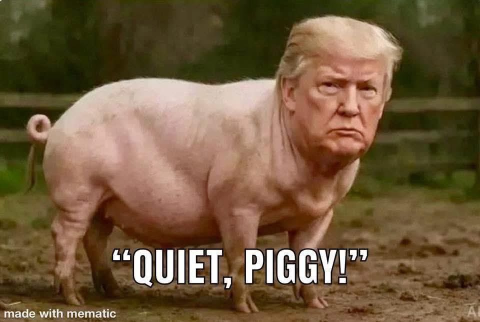 Talkingbutton tweet media