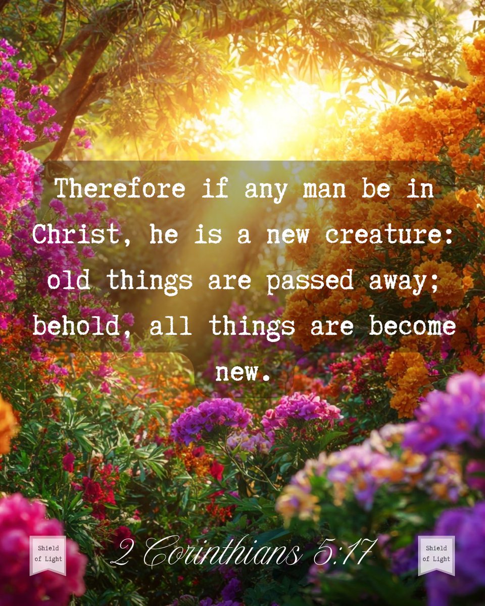 The Shield of Light tweet media