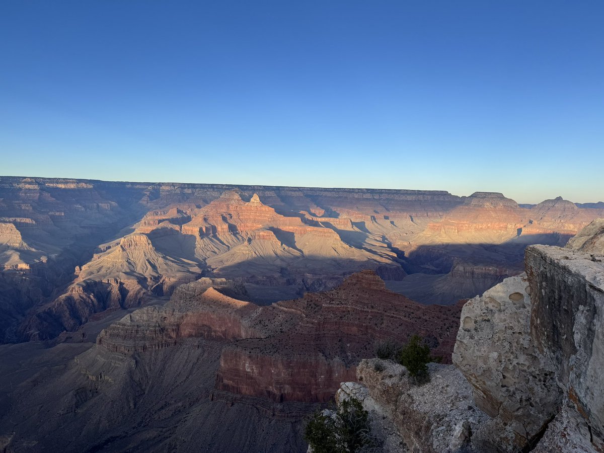 Rob Goldson tweet media